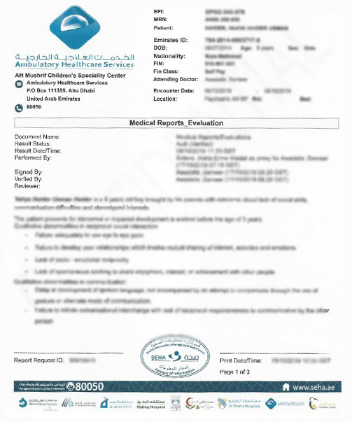 SEHA Assessment Report